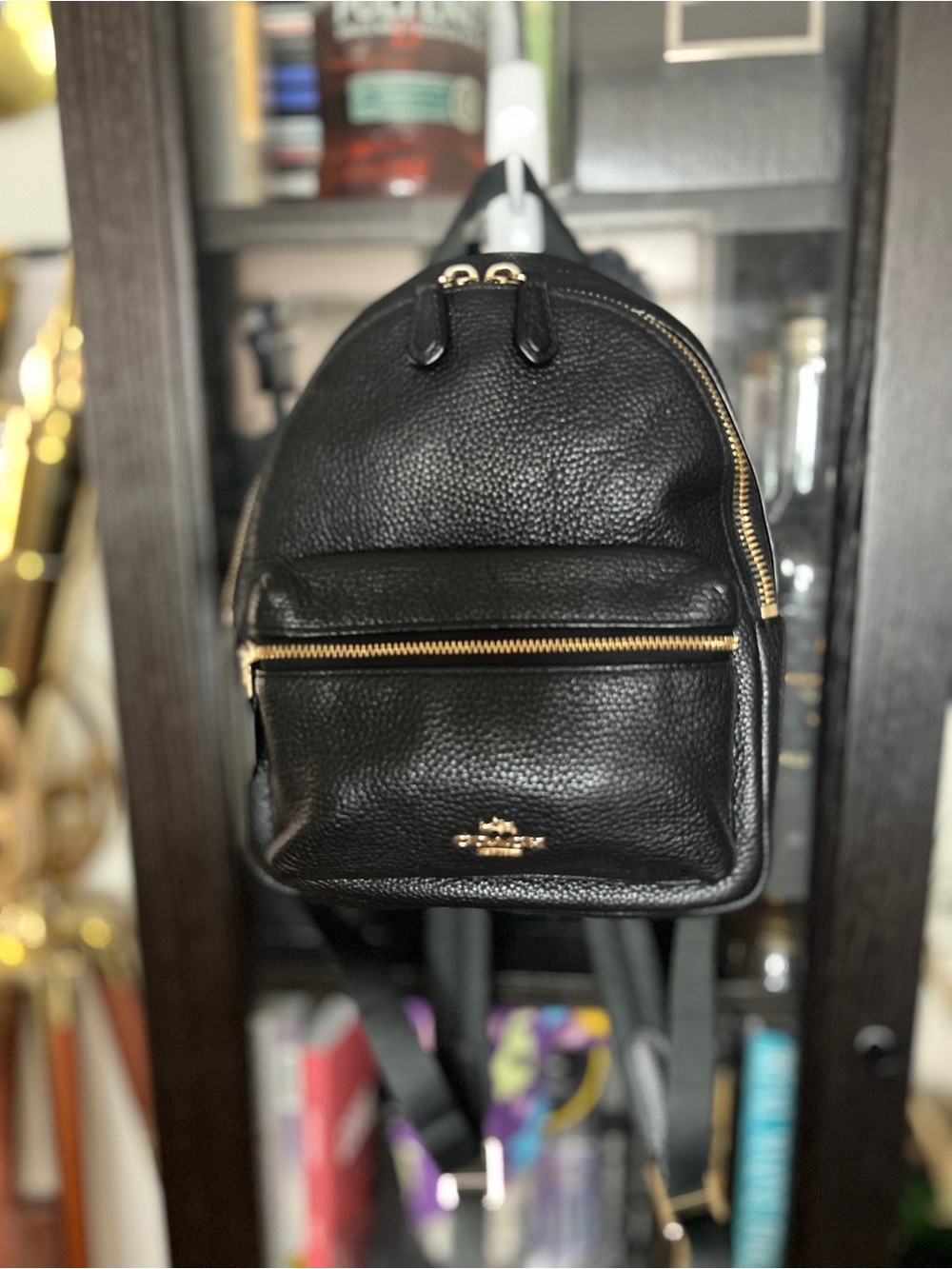 Coach Black Leather Mini Backpack with Gold Hardware - Picture 4 of 14